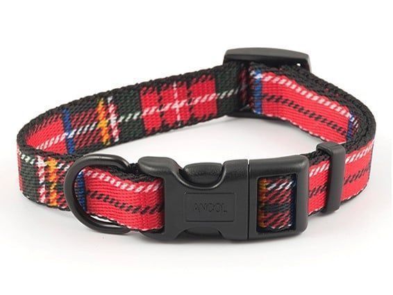 Red plaid dog sales collar