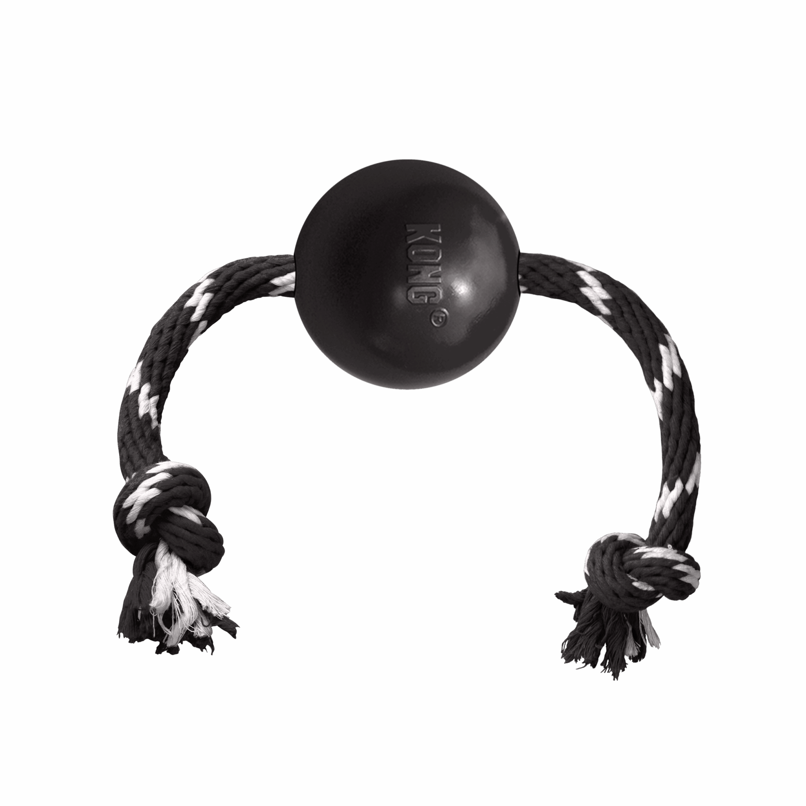 KONG Extreme Ball dog toy
