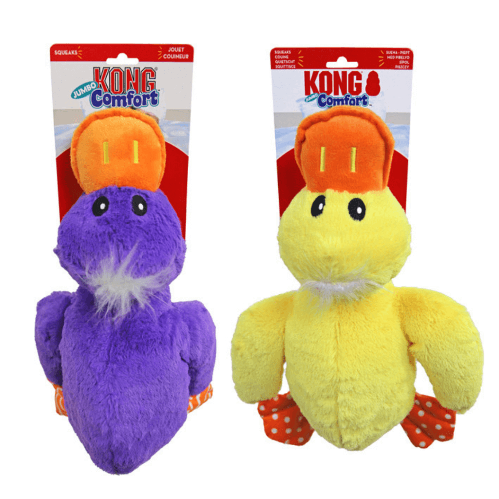 kong duck toy