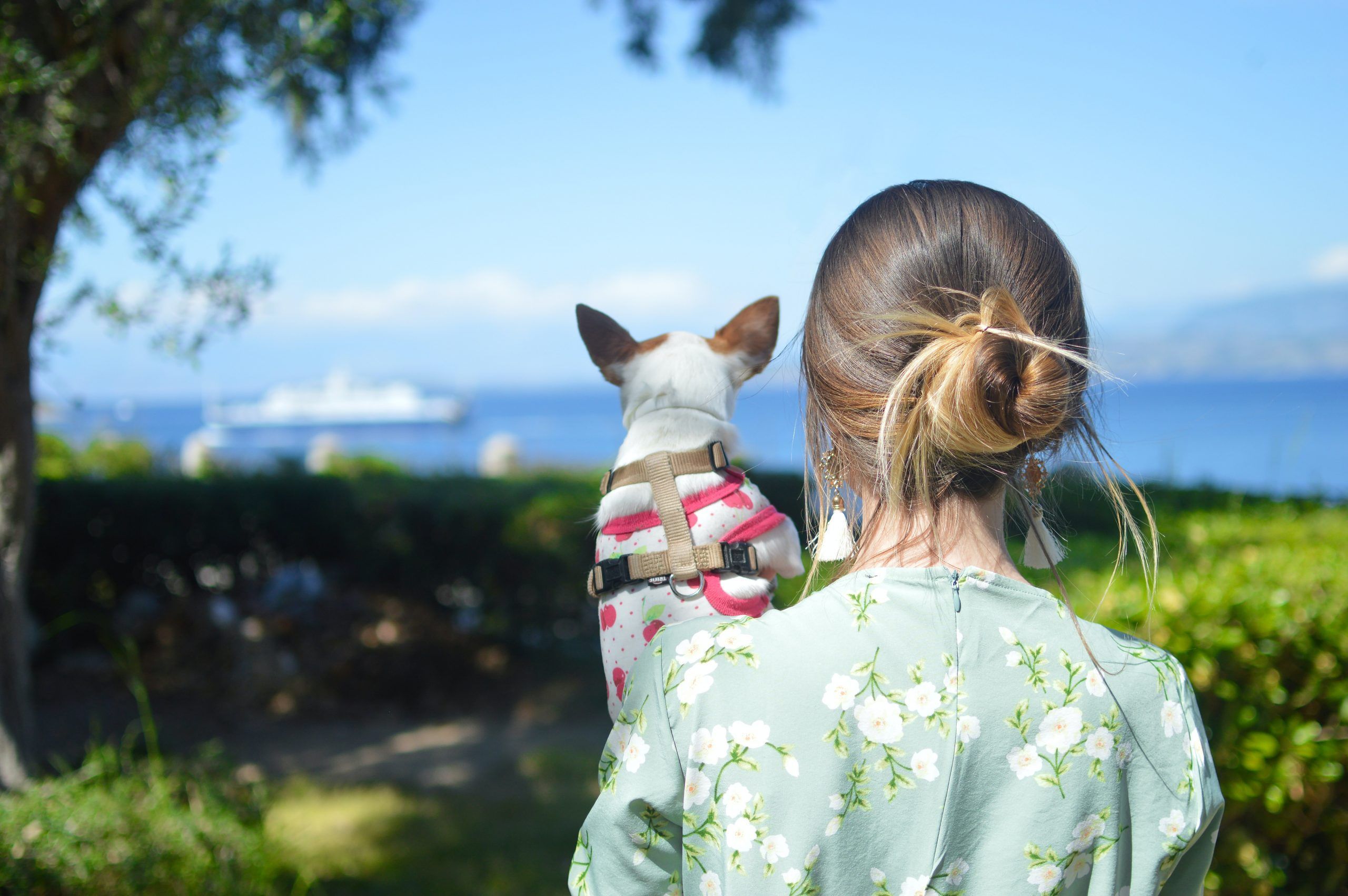 Girl carrying dog outdoors